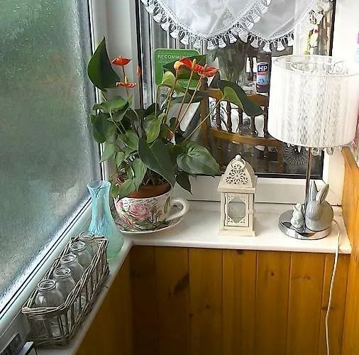 Hillside Bed & Breakfast