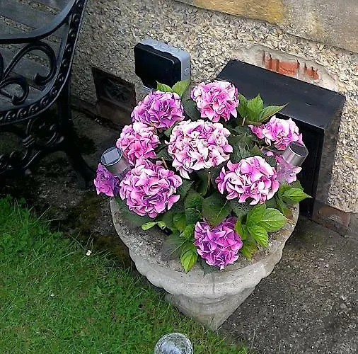 Bed & Breakfast Hillside *